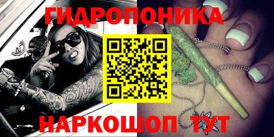 гидра Моздок