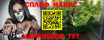 гидра Моздок